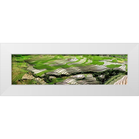 Vietnam White Modern Wood Framed Art Print by Norring, Tom