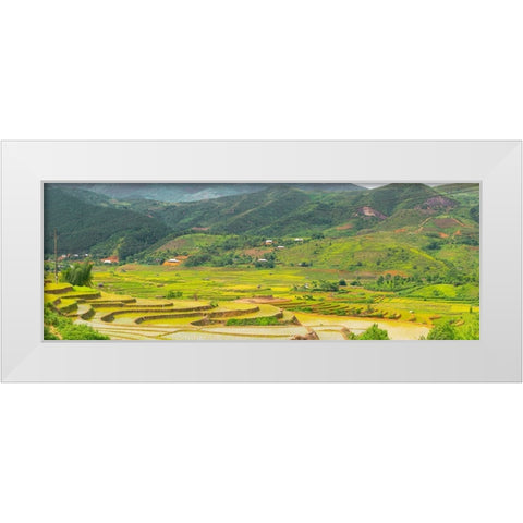 Vietnam -Rice paddies in the highlands of Sapa White Modern Wood Framed Art Print by Norring, Tom
