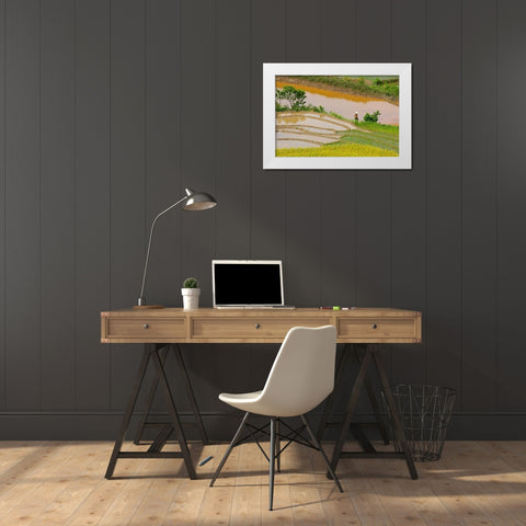 Vietnam -Rice paddies in the highlands of Sapa White Modern Wood Framed Art Print by Norring, Tom