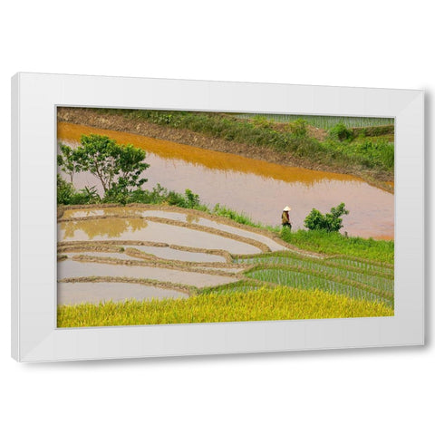 Vietnam -Rice paddies in the highlands of Sapa White Modern Wood Framed Art Print by Norring, Tom