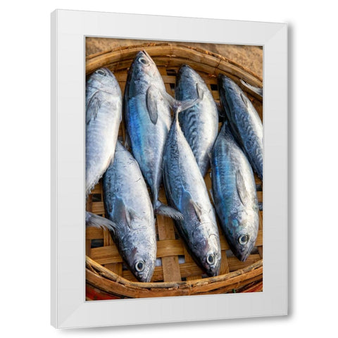 Vietnam-Mackerels from the nights catch on the beach at Hoi An White Modern Wood Framed Art Print by Norring, Tom