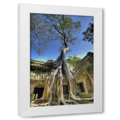 Cambodia, Angkor Wat Ruins of Beng Melea Temple White Modern Wood Framed Art Print by Shimlock, Jones