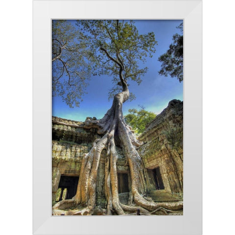 Cambodia, Angkor Wat Ruins of Beng Melea Temple White Modern Wood Framed Art Print by Shimlock, Jones