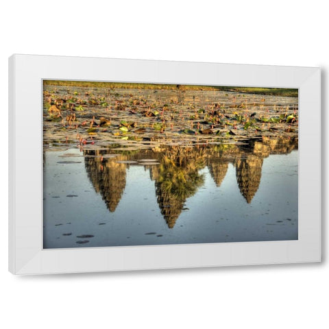 Cambodia, Angkor Wat Reflection of temple ruins White Modern Wood Framed Art Print by Shimlock, Jones