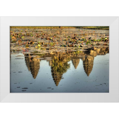 Cambodia, Angkor Wat Reflection of temple ruins White Modern Wood Framed Art Print by Shimlock, Jones