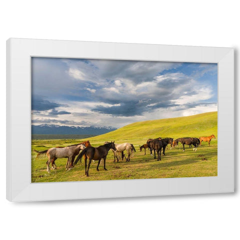 Horses for the production of milk-kumys and meat A typical farm on the Suusamyr plain White Modern Wood Framed Art Print by Zwick, Martin