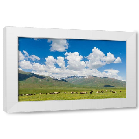 Summer pasture with traditional Yurts The Suusamyr plain White Modern Wood Framed Art Print by Zwick, Martin