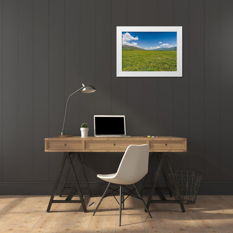 The Suusamyr plain-a high valley in Tien Shan Mountains-Kyrgyzstan White Modern Wood Framed Art Print by Zwick, Martin