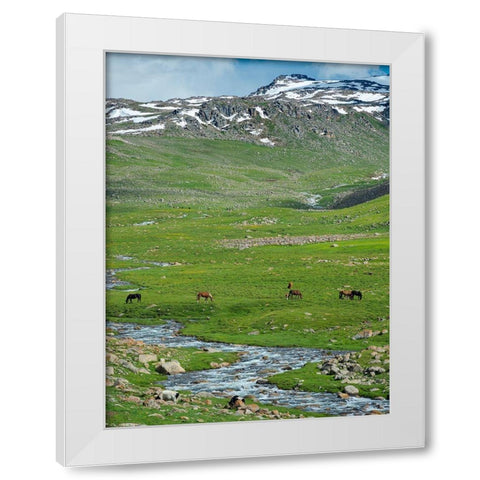 Landscape at the Otmok mountain pass in the Tien Shan or heavenly mountains-Kyrgyzstan White Modern Wood Framed Art Print by Zwick, Martin