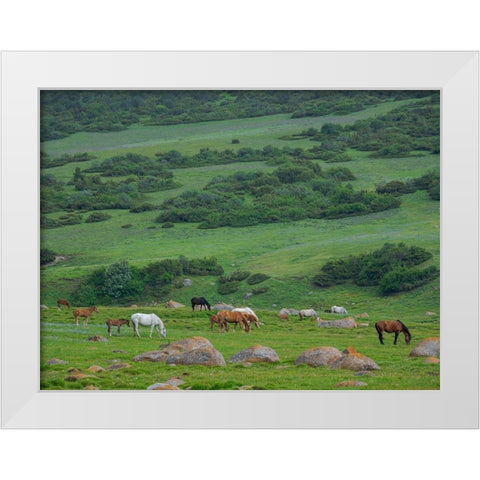 Horses on their summer pasture National Park Besch Tasch in the Talas Alatoo mountain range White Modern Wood Framed Art Print by Zwick, Martin