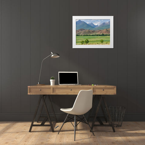 Agriculture near lake Issyk-Kul  White Modern Wood Framed Art Print by Zwick, Martin