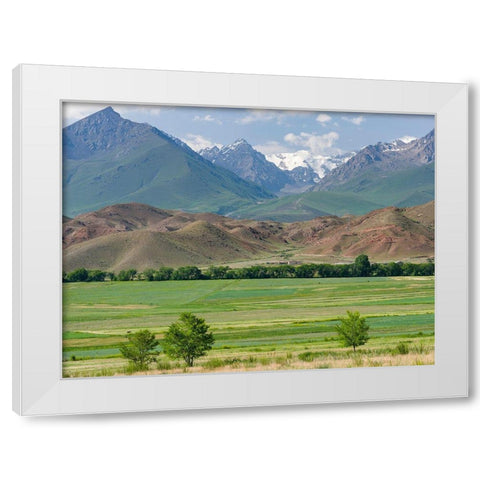 Agriculture near lake Issyk-Kul  White Modern Wood Framed Art Print by Zwick, Martin