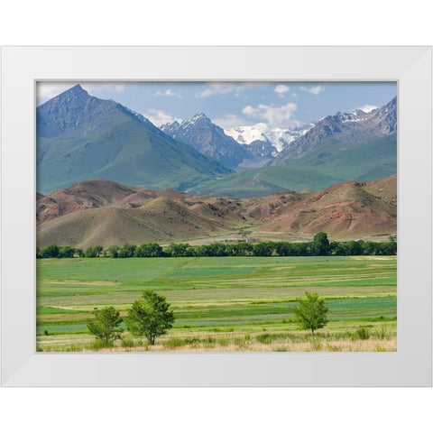 Agriculture near lake Issyk-Kul  White Modern Wood Framed Art Print by Zwick, Martin