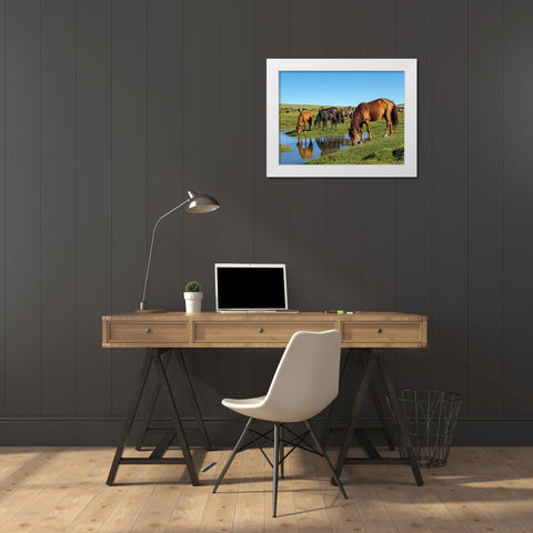 Horses on their mountain pasture at lake Song Kol  White Modern Wood Framed Art Print by Zwick, Martin