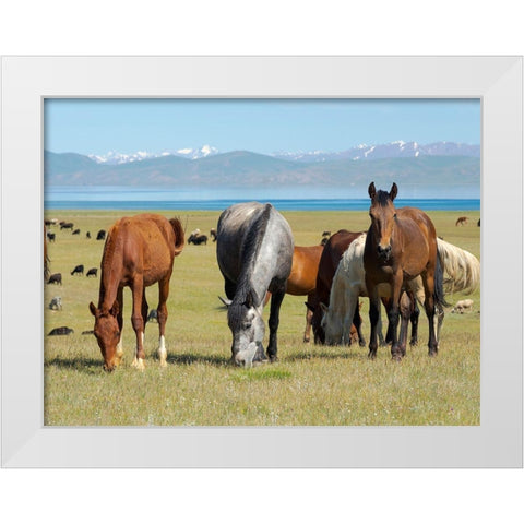 Horses on their mountain pasture at lake Song Kol  White Modern Wood Framed Art Print by Zwick, Martin