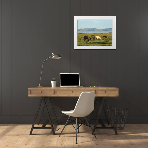 Horses on their mountain pasture at lake Song Kol  White Modern Wood Framed Art Print by Zwick, Martin