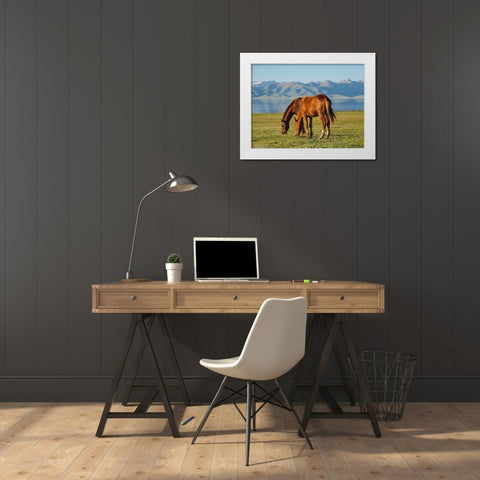 Horses on their mountain pasture at lake Song Kol  White Modern Wood Framed Art Print by Zwick, Martin
