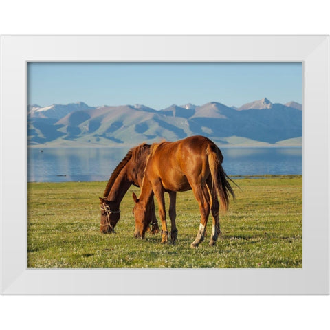 Horses on their mountain pasture at lake Song Kol  White Modern Wood Framed Art Print by Zwick, Martin