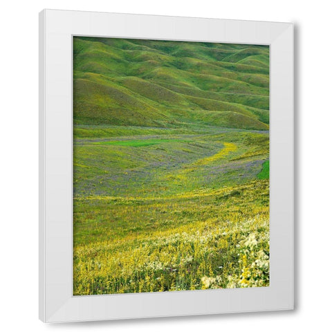Wildflower meadow near the mountain road from Kazarman to mountain pass Urum Basch Ashuusu in the  White Modern Wood Framed Art Print by Zwick, Martin