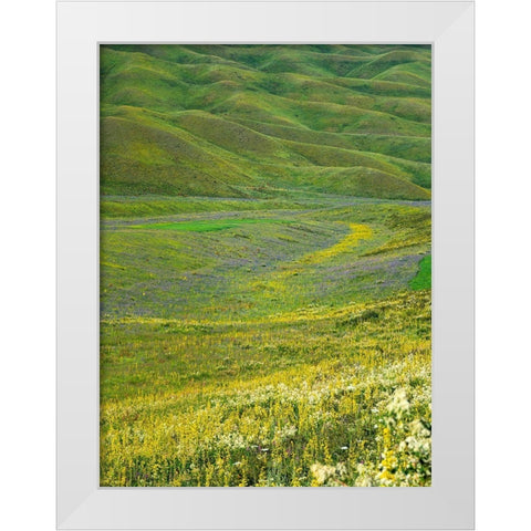 Wildflower meadow near the mountain road from Kazarman to mountain pass Urum Basch Ashuusu in the  White Modern Wood Framed Art Print by Zwick, Martin