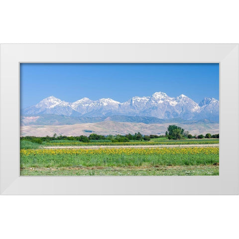 Landscape in the foothills of the Fergana mountain range White Modern Wood Framed Art Print by Zwick, Martin