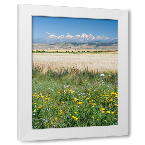 Landscape in the foothills of the Fergana mountain range White Modern Wood Framed Art Print by Zwick, Martin