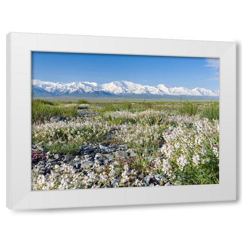 Peak Pik Lenin or Kullai abu-ali ibn Sino and Pik Dserschinski Alay Valley  White Modern Wood Framed Art Print by Zwick, Martin
