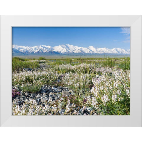 Peak Pik Lenin or Kullai abu-ali ibn Sino and Pik Dserschinski Alay Valley  White Modern Wood Framed Art Print by Zwick, Martin