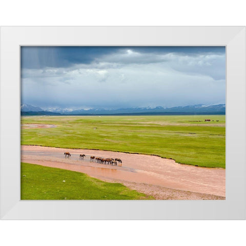 Horses in the Alay Valley and the Trans-Alay Range in the Pamir Mountains  White Modern Wood Framed Art Print by Zwick, Martin