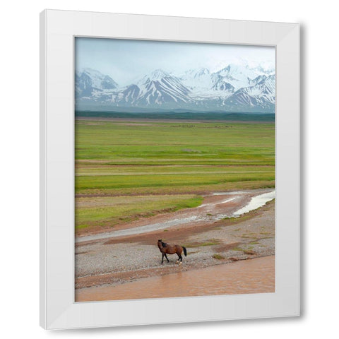 Horses in the Alay Valley and the Trans-Alay Range in the Pamir Mountains  White Modern Wood Framed Art Print by Zwick, Martin