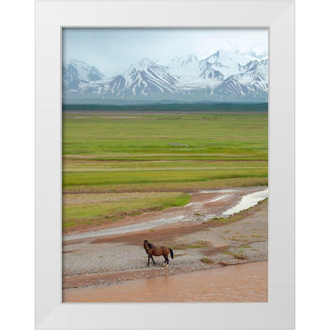 Horses in the Alay Valley and the Trans-Alay Range in the Pamir Mountains  White Modern Wood Framed Art Print by Zwick, Martin
