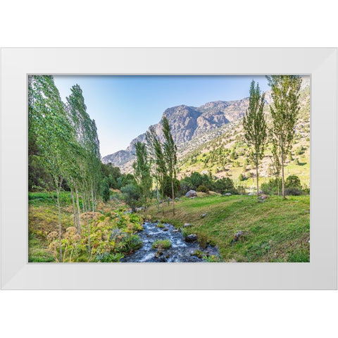 Artuch-Sughd Province-Tajikistan A small creek in the mountains of Tajikistan White Modern Wood Framed Art Print by Wilson, Emily M.
