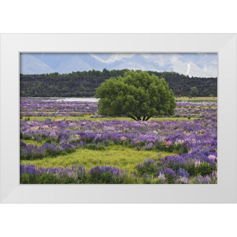 New Zealand, South Island Lupine and tree White Modern Wood Framed Art Print by Flaherty, Dennis