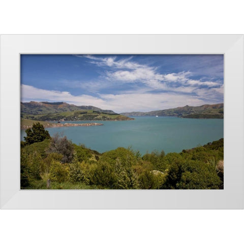 New Zealand, South Island, Akaroa Harbor scenic White Modern Wood Framed Art Print by Grall, Don