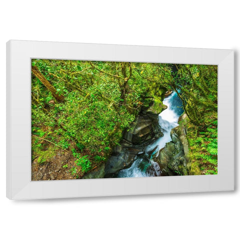 The Chasm-Fiordland National Park-South Island-New Zealand White Modern Wood Framed Art Print by Bishop, Russ