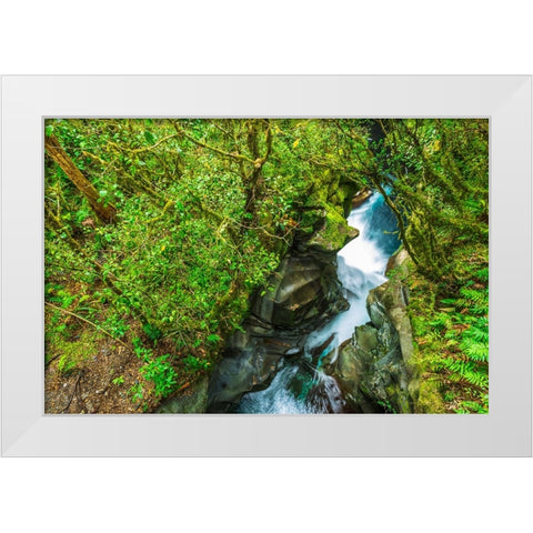 The Chasm-Fiordland National Park-South Island-New Zealand White Modern Wood Framed Art Print by Bishop, Russ