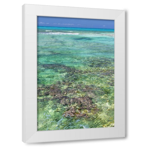 Bahamas, Exuma Isl Seascape of clear ocean water White Modern Wood Framed Art Print by Paulson, Don