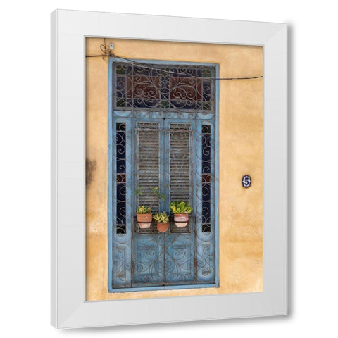 Flower pots sit in wrought iron gate in front of blue door in Old Havana; La Habana Vieja-Cuba White Modern Wood Framed Art Print by Miglavs, Janis