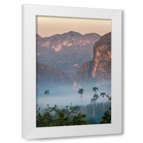 Morning fog rises from the palm tree lined Vinales Valley-Cuba White Modern Wood Framed Art Print by Miglavs, Janis