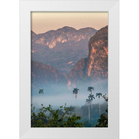 Morning fog rises from the palm tree lined Vinales Valley-Cuba White Modern Wood Framed Art Print by Miglavs, Janis