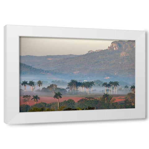 Morning fog rises from the palm tree lined Vinales Valley-Cuba White Modern Wood Framed Art Print by Miglavs, Janis