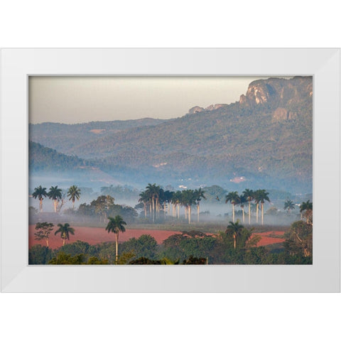 Morning fog rises from the palm tree lined Vinales Valley-Cuba White Modern Wood Framed Art Print by Miglavs, Janis