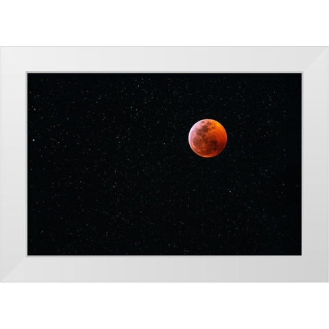 Total blood moon eclipse seen from Big Island-Hawaii White Modern Wood Framed Art Print by Miglavs, Janis
