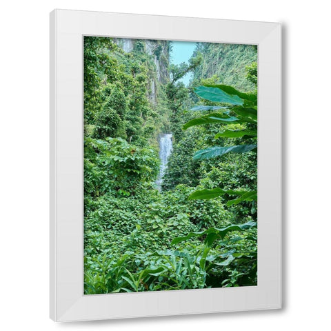 Caribbean-West Indies-Dominica Island One of Dominicas most popular natural attractions White Modern Wood Framed Art Print by Buhl, Karl