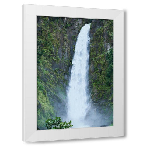 Caribbean-West Indies-Dominica Island One of Dominicas most popular natural attractions White Modern Wood Framed Art Print by Buhl, Karl