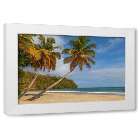 Caribbean-Grenada-Grenadines Palm trees and ocean at La Sagesse Beach White Modern Wood Framed Art Print by Jaynes Gallery