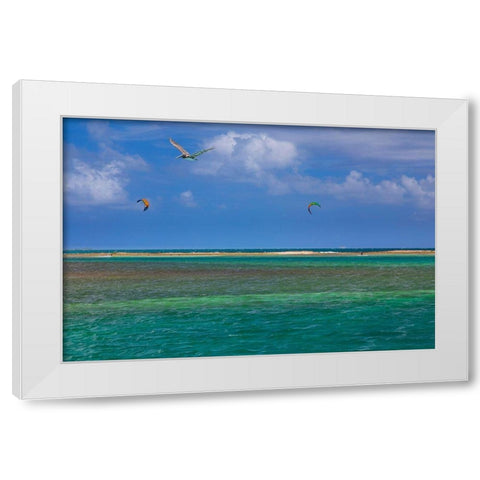 Caribbean-Grenada-Union Island Surf kites and pelican flying over ocean White Modern Wood Framed Art Print by Jaynes Gallery