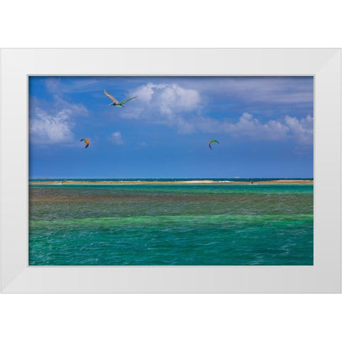 Caribbean-Grenada-Union Island Surf kites and pelican flying over ocean White Modern Wood Framed Art Print by Jaynes Gallery