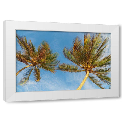 Caribbean-Grenada-Mayreau Island Palm trees against sky White Modern Wood Framed Art Print by Jaynes Gallery