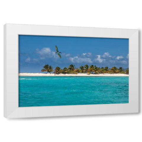 Caribbean-Grenada-Sandy Island Pelican flies over ocean shore White Modern Wood Framed Art Print by Jaynes Gallery